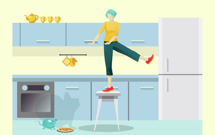 How to avoid pest infestation problems in your rental property.jpg