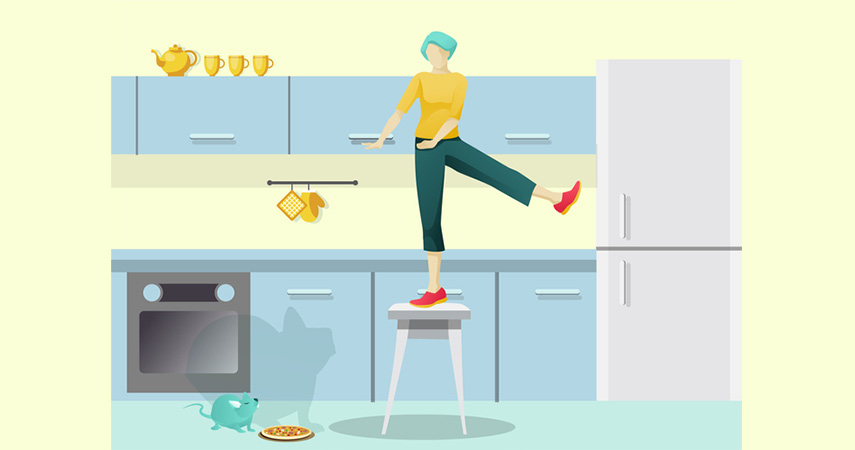 How to avoid pest infestation problems in your rental property.jpg How to avoid pest infestation problems in your rental property.jpg