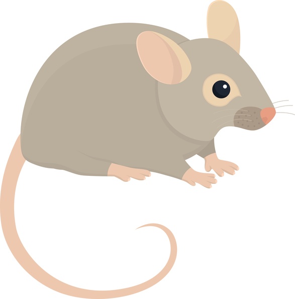 iStock-471739896-copy