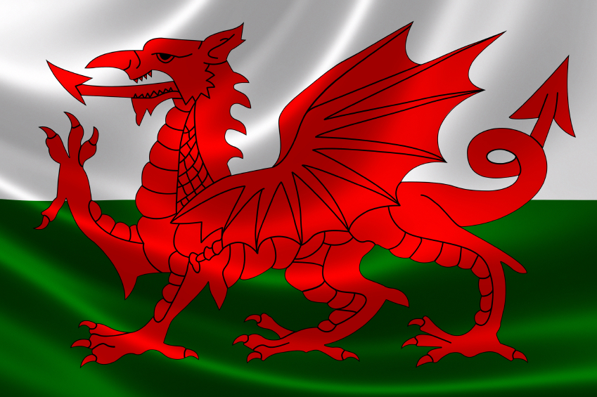 Welsh Flag