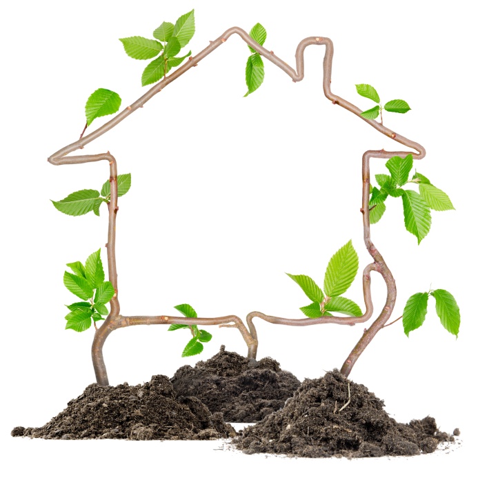 iStock_000065674487_Small-1